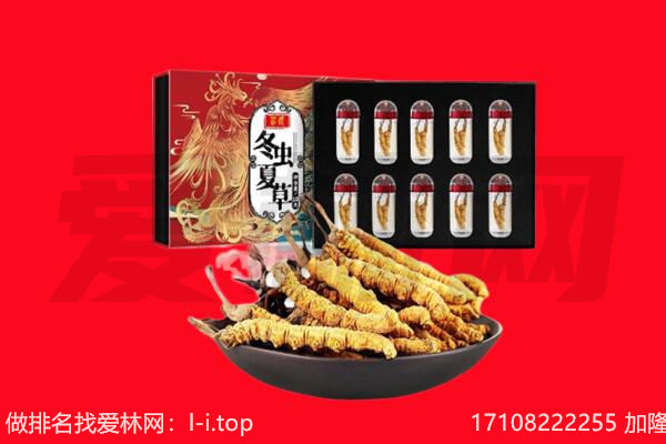 济南莱芜区回收虫草.jpg
